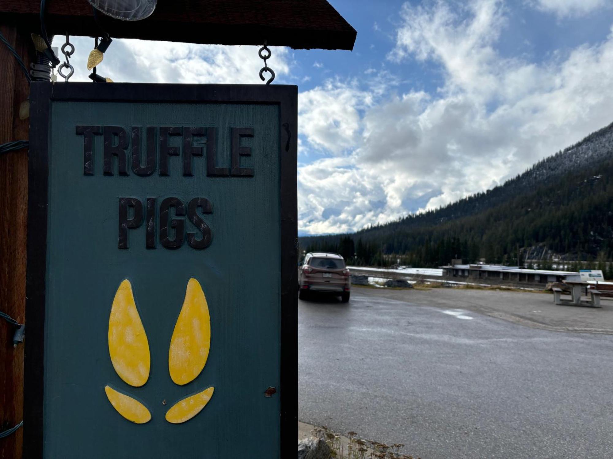 Truffle Pigs Lodge Field Luaran gambar